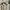 Adidas Y-3 Kasabaru High Top Sneakers in White Nylon photo 5