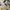 Adidas Y-3 Kasabaru High Top Sneakers in White Nylon photo 3
