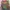Kaos Marvel Comics Full Character photo 2