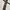 Silk Tie By Canali Milano