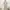 Ivory studio beaded lace dress (hijab friendly) photo 7
