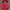 Gorpcore Casual Track Jacket Pria Navy Red