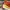 AIR ZOOM ALPHA FLY NEXT EKIDEN ZOOM PACK , AIR ZOOM NEXT FLY photo 7