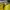 AIR ZOOM ALPHA FLY NEXT EKIDEN ZOOM PACK , AIR ZOOM NEXT FLY photo 9