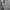 Outdoor Research Casual Sweatshirt Pria gray photo 3