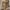 Cloth inc overlap drapery midi dress photo 1