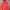 PRELOVE NIKE TECH FLECEE Light Red(bekas Pemakain Sendiri