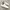 Puma Up Trainers Full White