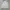 Hoor Casual Outter Canvas Jacket photo 1