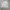 Hoor Casual Outter Canvas Jacket photo 4