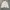 Leefine Boxy Casual Outter Corduroy Jacket photo 3