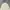 Leefine Boxy Casual Outter Corduroy Jacket photo 4