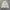 Rabbit Casual Outter Canvas Jacket photo 3