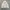 Rabbit Casual Outter Canvas Jacket photo 1