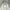 Unknown Casual Harrington Flight Jacket photo 5