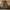 Timberland Boots Leather photo 4