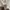 COLORBOX Coquette Cami top Wanita white photo 4
