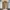 ZARA Traveler Jacket Mustard lightweight photo 1