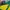 jersey nike brazil photo 3