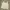 BAREKURVE Casual Cami top Wanita green photo 4