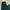 CORAL Casual Culotte Wanita Green