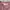 Chinese Light Pink Floral Pattern Cheongsam Jacket photo 9