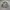Field Jacket M-65 Woodland Camouflage by Golden MFG  photo 1