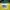 Umbro Vintage Sportswear Jersey Pria green yellow photo 4