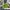 Umbro Vintage Sportswear Jersey Pria Green Yellow