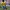 Umbro Vintage Sportswear Jersey Pria green yellow photo 3