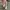 NB 1906R photo 2