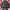 Casual Bomber jacket Pria green black photo 3