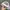 Vintage Hat Pria green gray photo 4