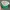 Vintage Hat Pria green gray photo 2