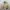 Zippo Casual Windbreaker Pria khaki photo 2