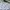 Vintage Indie Formal shirt Pria cream photo 4
