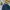 Uniqlo Minimalist Casual Bomber jacket Pria navy photo 4