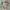 Casual Kids multicolor photo 1