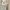 Kartu Pos Dari Tomorrow Square - James Fallows photo 1