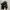 Gucci beltbag waistbag gg courrier night original net price photo 3