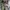 Valentino Luxury Wanita multicolor photo 1