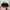 TOPI / HAT NASCAR DODGE TRUCK FLAME photo 4