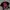 Kaos anime painting custom akagami  photo 6
