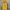 Y2K Sportswear Jersey Pria purple yellow photo 2