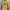 Y2K Sportswear Jersey Pria Purple Yellow