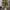 cargo pants multi pocket photo 2