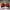 Asics Sportswear Sneakers Pria multicolor red photo 5