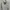 HD NIKE MU photo 2