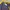 Dunlop Casual Harrington Jacket photo 8
