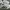 Adidas Vintage Casual Sneakers Pria white photo 3